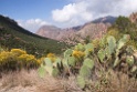 27_Big Bend National Park_13